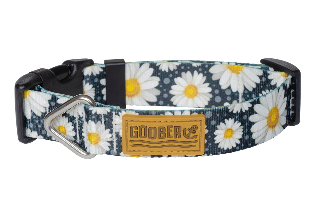 dog cat collar